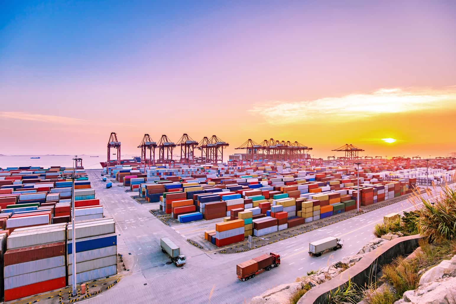 Discover what to look for when shopping for supply chain software solutions.